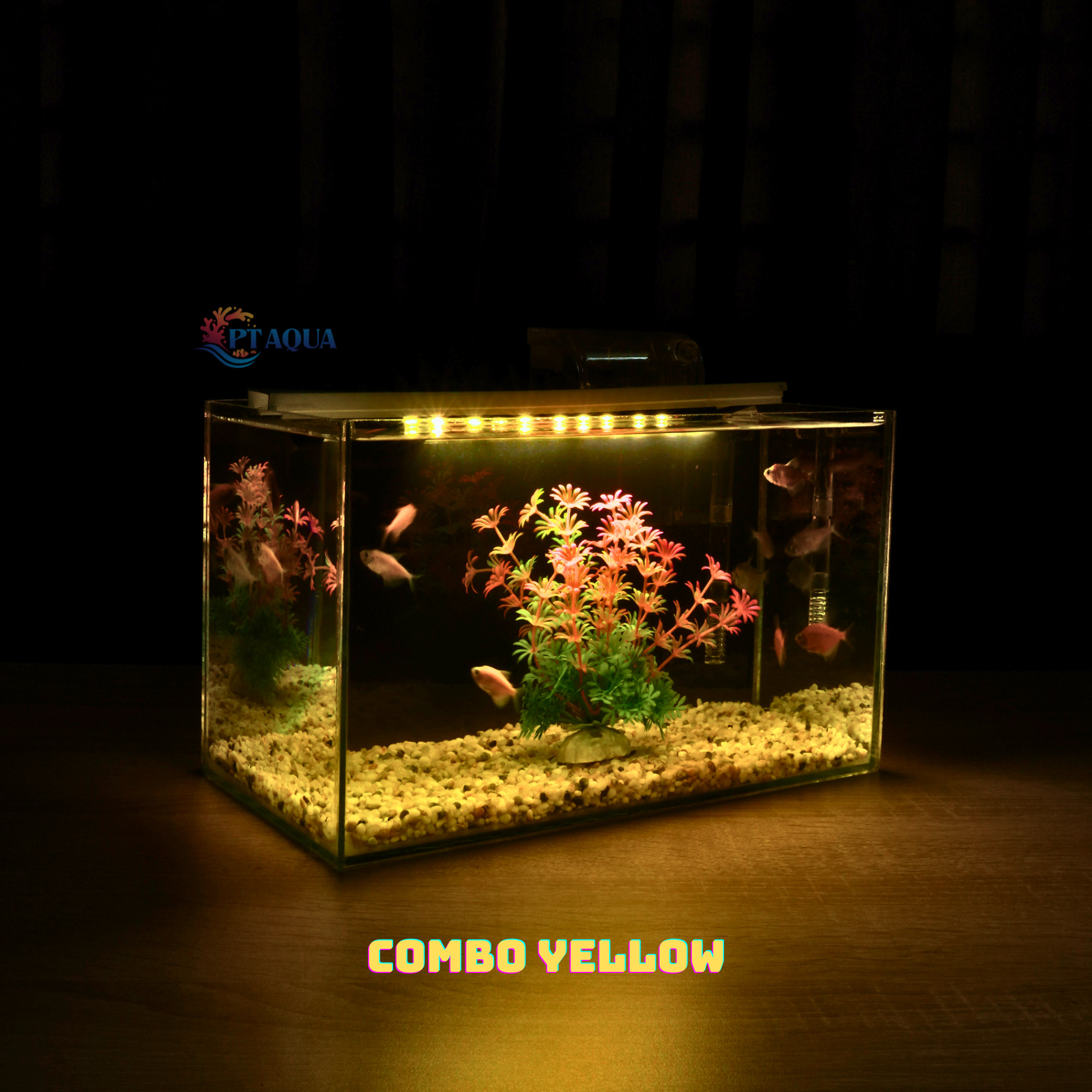 Bể cá mini FULL COMBO để bàn đầy đủ phụ kiện