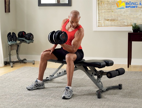 Ghế tạ điều chỉnh độ dốc Dumbell (Bowflex)