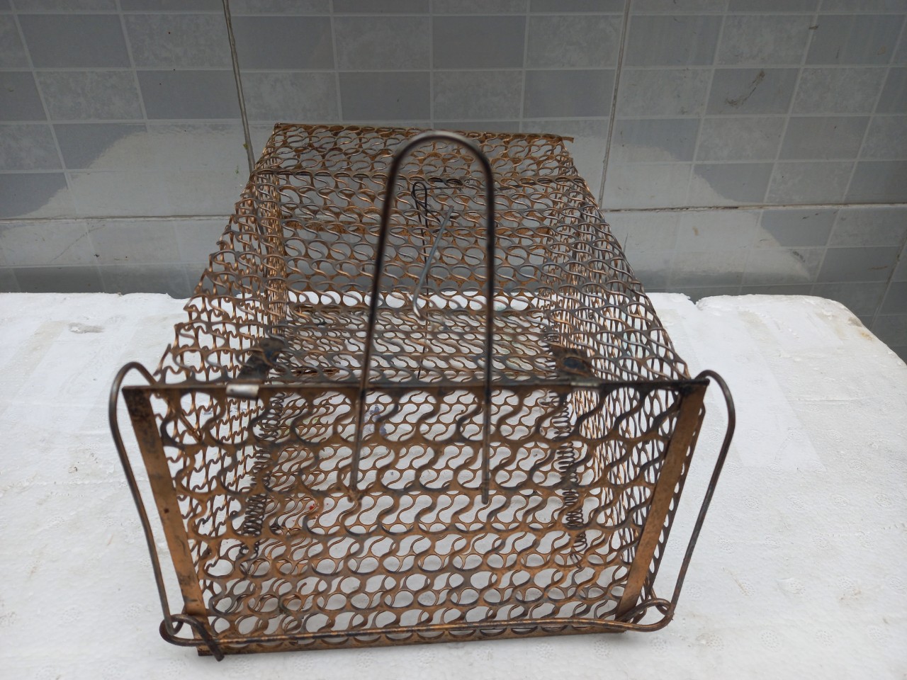 25 cm Mouse Trap Cage with Lock