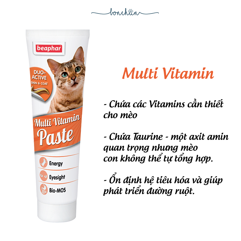 Gel dinh dưỡng Beaphar cho mèo tuýp 100g