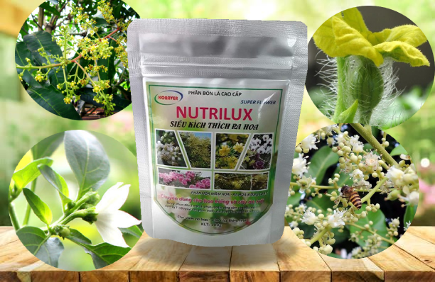 [HCM]Phân bón kích thích ra hoa đậu trái Nutrilux gói 100g