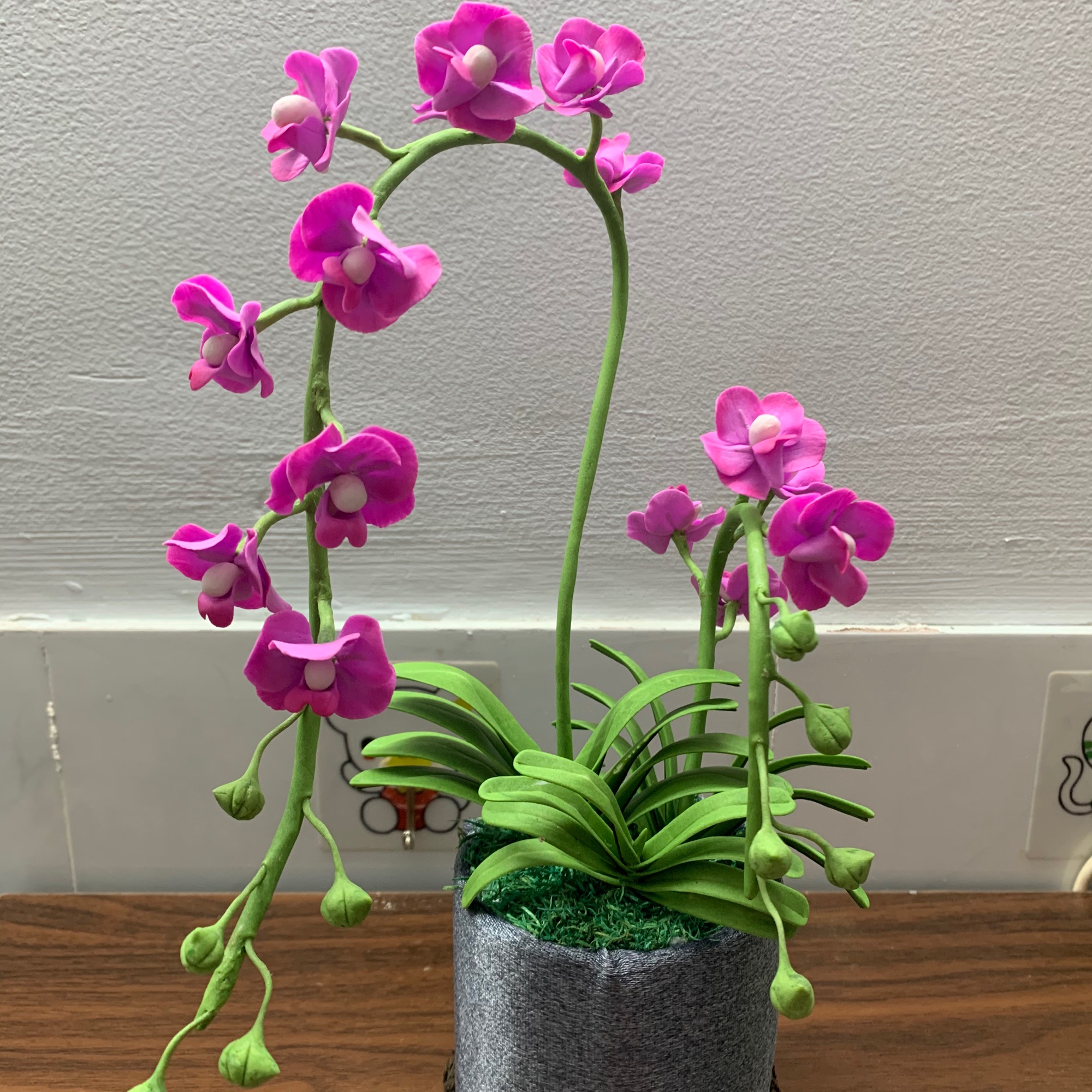 Chậu hoa Lan Vanda đất sét hoa size nhỏ cành cao