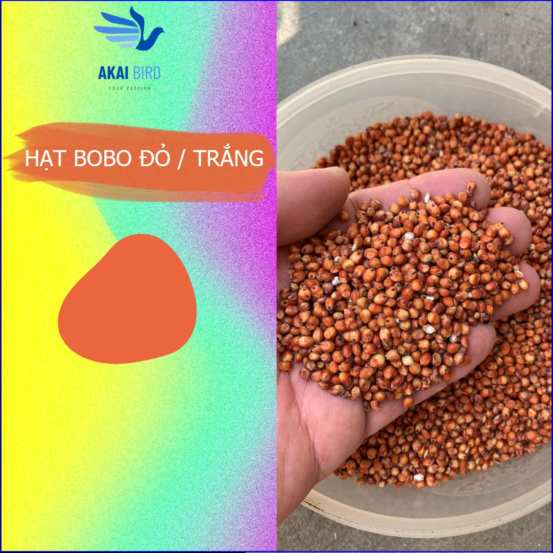 [1KG] Hạt Bo Bo Đỏ / Trắng (Hạt Ý Dĩ / Cườm Thảo) Đa Công Dụng...