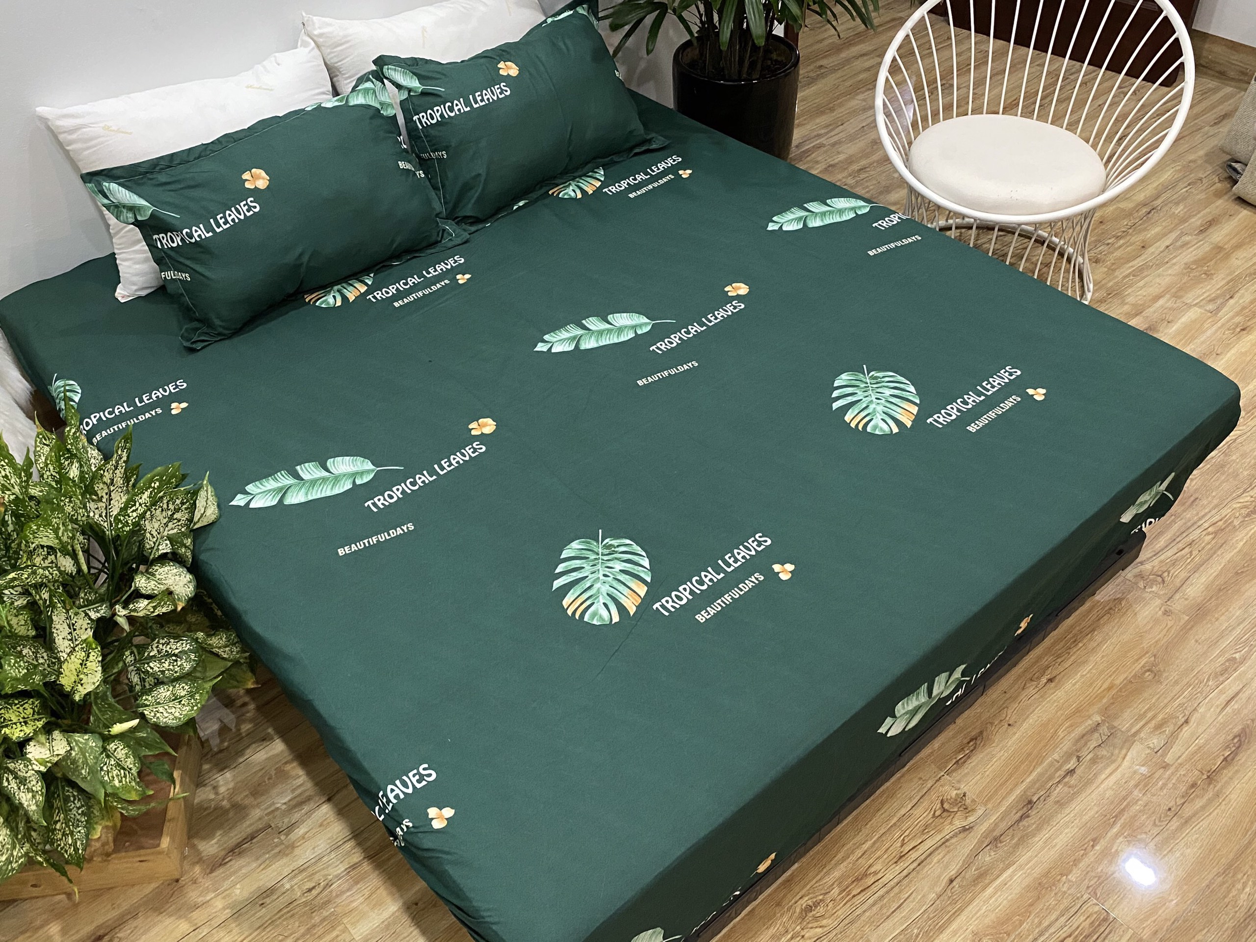 Set Ga Gối 3 Món (Gồm 1 Ga bo chun + 2 Vỏ Gối Nằm) Mẫu Lá Chuối CH219