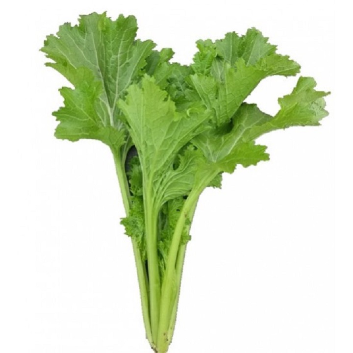 Hạt giống rau Cải Mèo Hà Giang