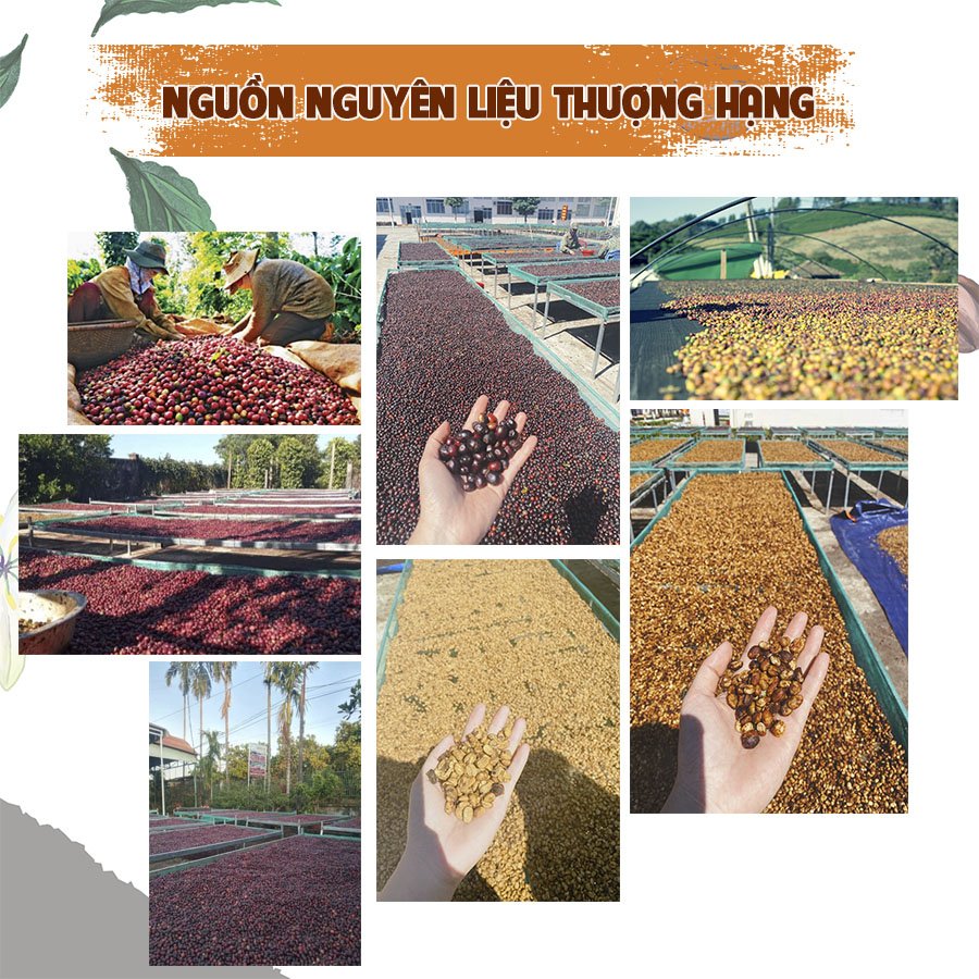 Cà phê Robusta Honey nguyên chất rang mộc 500gr