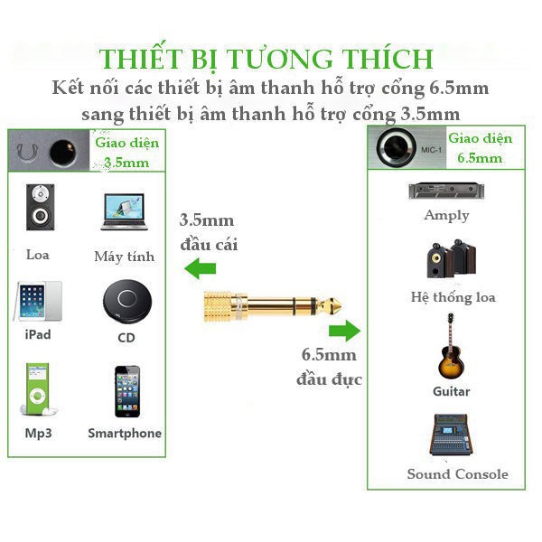 [HCM]Jack Chuyển 6.5mm Ra Chân 3.5mm Cái ( UGREEN 20503 )