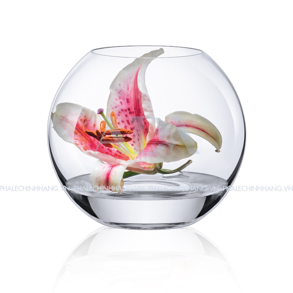 Lọ hoa dáng tròn Ambiente Rona 20cm