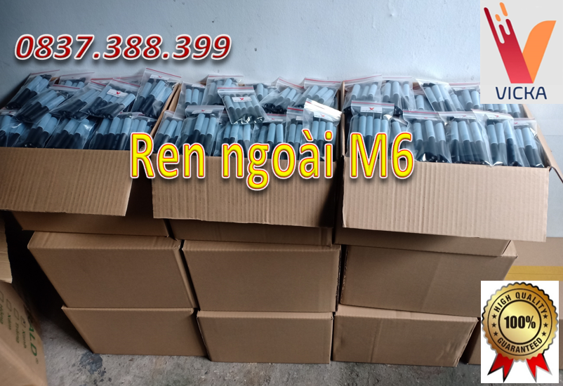 [HCM]Chổi tẩy mối hàn Inox điện hóa(REN NGOÀI M6)