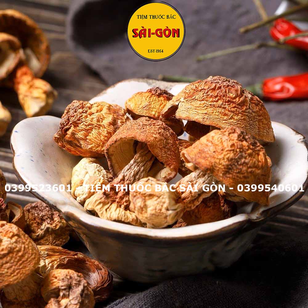 Nấm Tùng Nhung 100gram HÀNG TỰ NHIÊN (Nấm quý nấu canh dưỡng sinh, lẩu nấm, phục hồi sức khỏe)