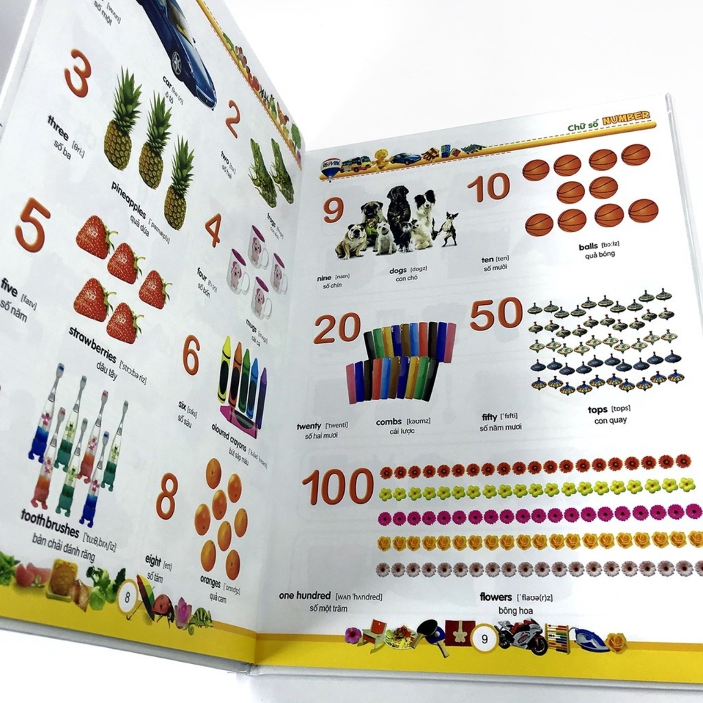 Sách: 1000 Từ Tiếng Anh Đầu Tiên