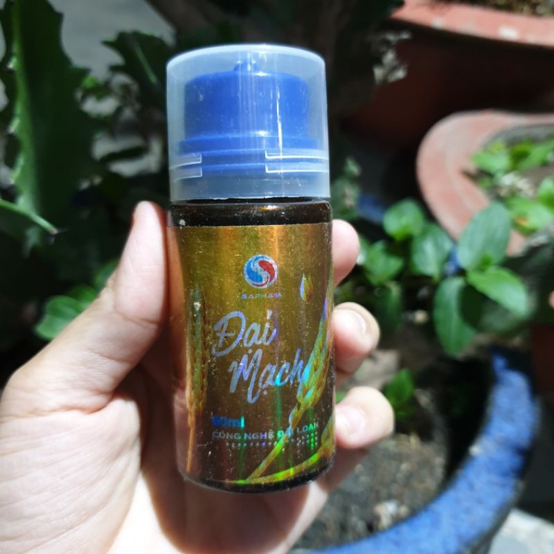 Tinh mùi Đại mạch sa phạm/tinh mùi câu cá