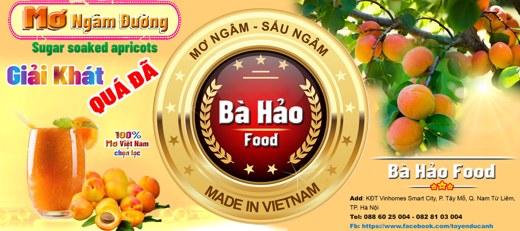 Mơ ngâm đường bà Hảo hộp 500ml