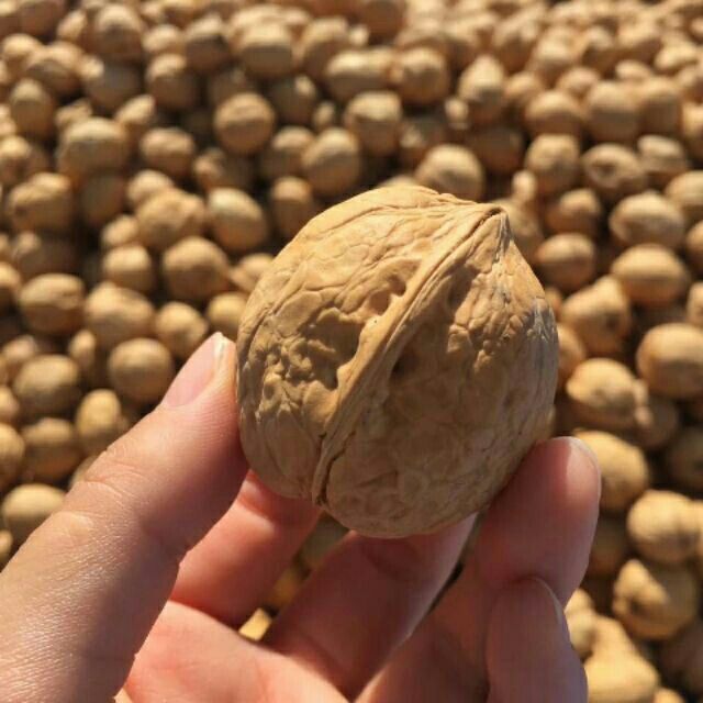 Quả óc chó 500g -1kg