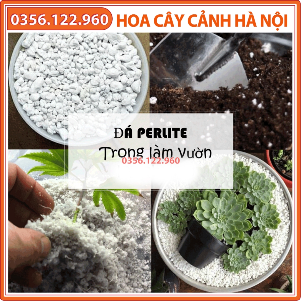 Đá Perlite, đá trân châu trắng chuyên dùng rải chậu sen đá, cây để bàn - gói 200g - Shop hoa cây cảnh Hà Nội