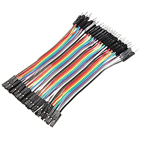 Dây bus 40pin 10cm