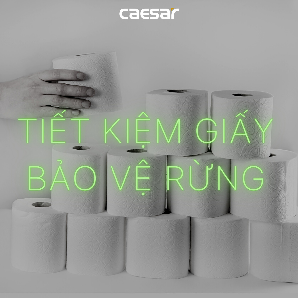 Hộp Giấy Vệ Sinh Nhựa H108 Caesar