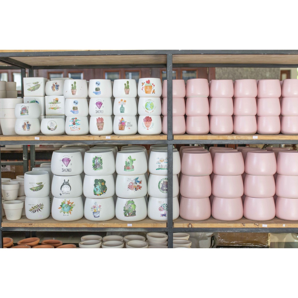 Chậu sứ bầu màu hồng - Vườn sen đá