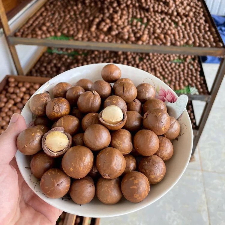 Cracked Macadamia Nuts - Mountain Street Shop [Super Tet Sale]