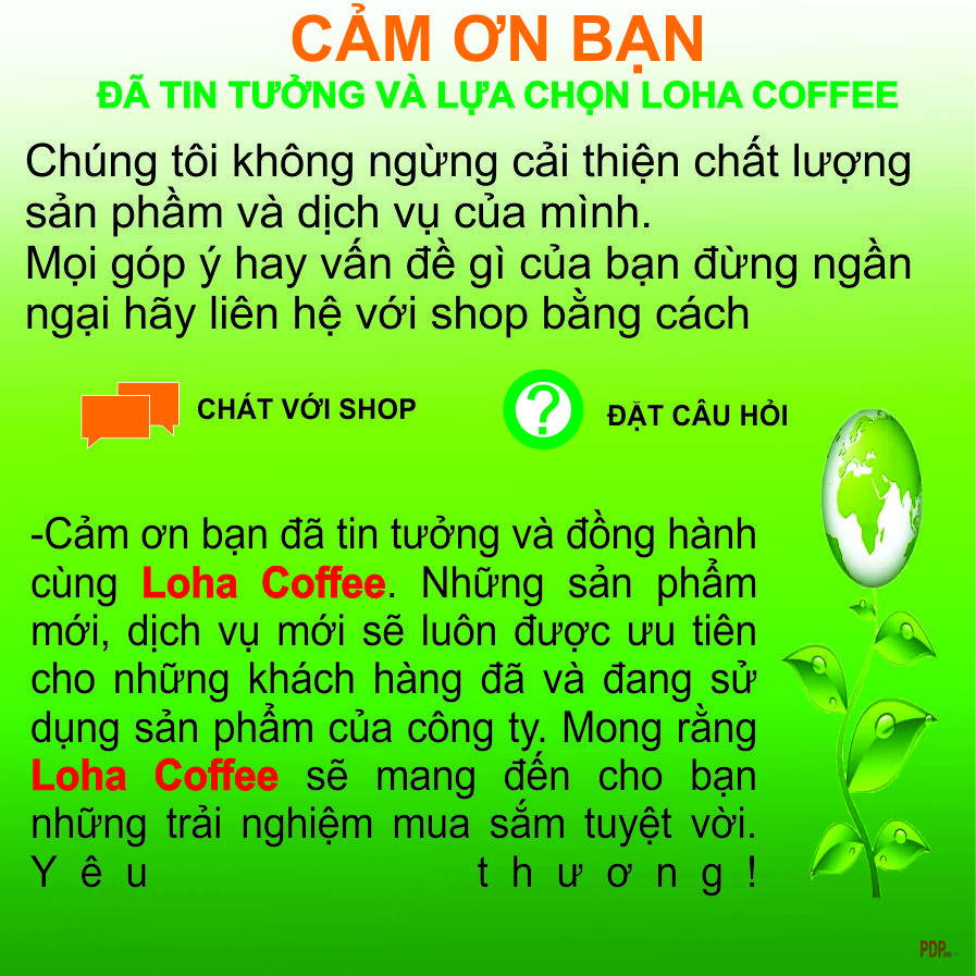 500gr  Cà Phê Hạt Arabica Đà Lạt Rang Mộc Dạng Hạt Pha Máy -LOHA COFFEE