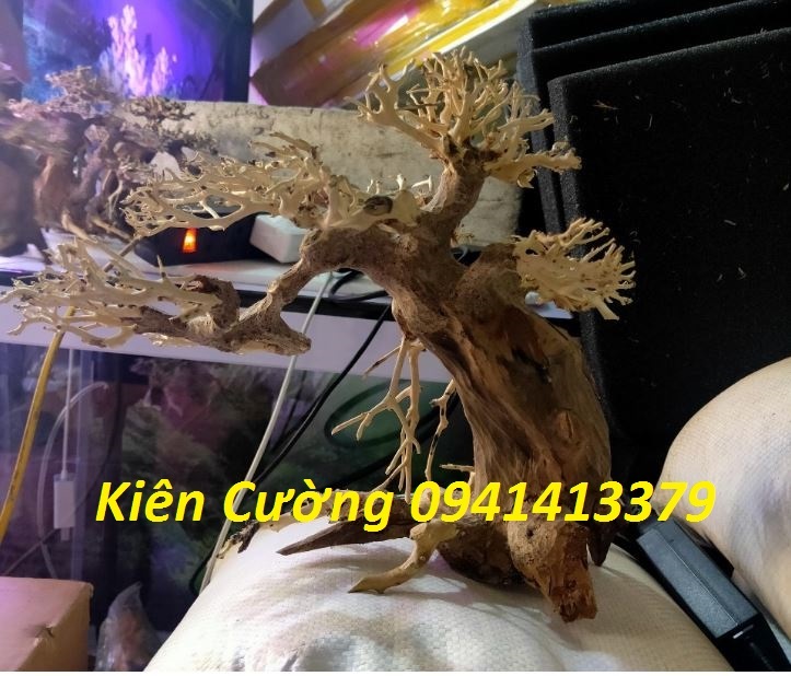 Cây gỗ lũa thủy sinh dùng cho bể cá cảnh, gỗ lúa cao cấp (Mẫu 1)