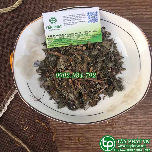Chè dây sapa tấn phát 1kg - Hàng sạch cao cấp được nhập từ Cao Bằng