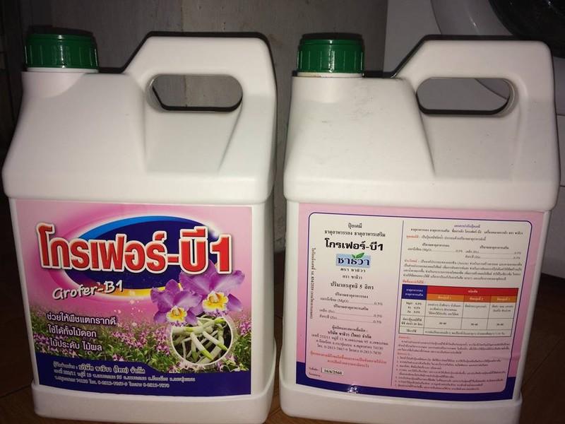 330 ml b1 thái nguyên chất