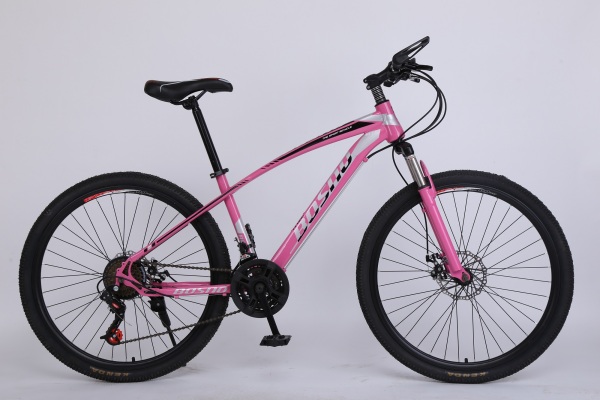 Mua Xe đạp thể dục cực xinh BOSNO T1 - Giá tốt Bảo hành 12 tháng