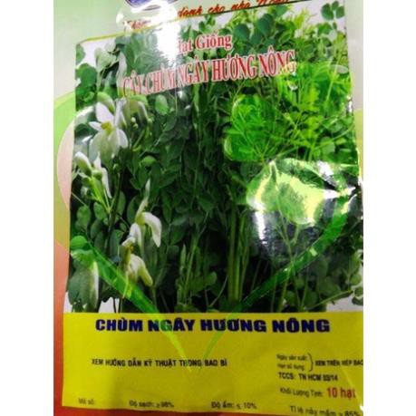 Hạt giống chùm ngây - gói 10 hạt