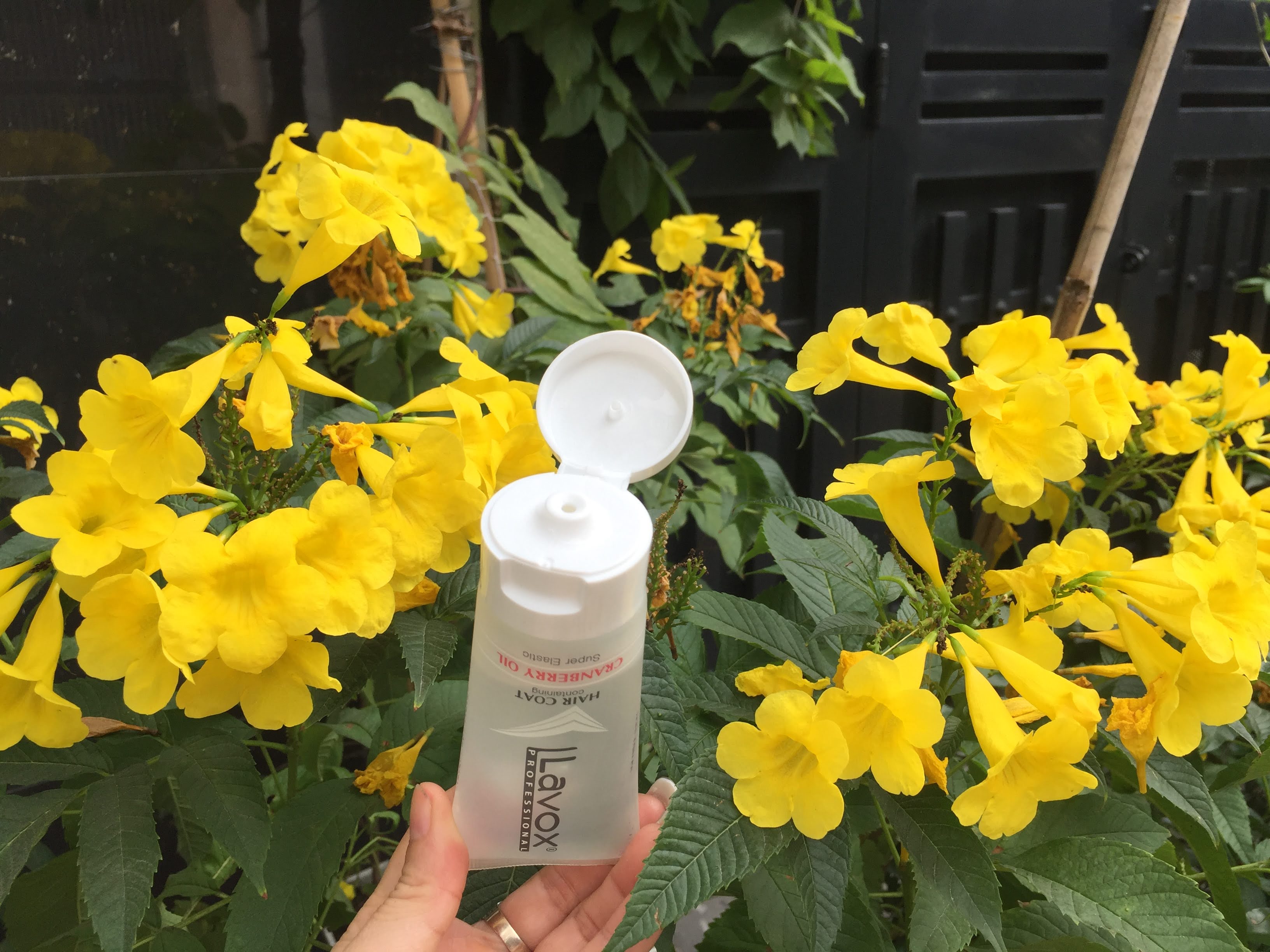 Tuýp Dầu bóng tóc Lavox 60 ml