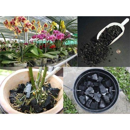 Than củi đa dụng 0,5kg