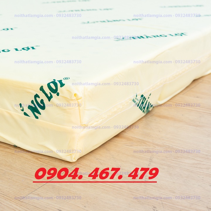 NỆM CAO SU NON THẮNG LỢI 10PHAN - NHIỀU KÍCH THƯỚC