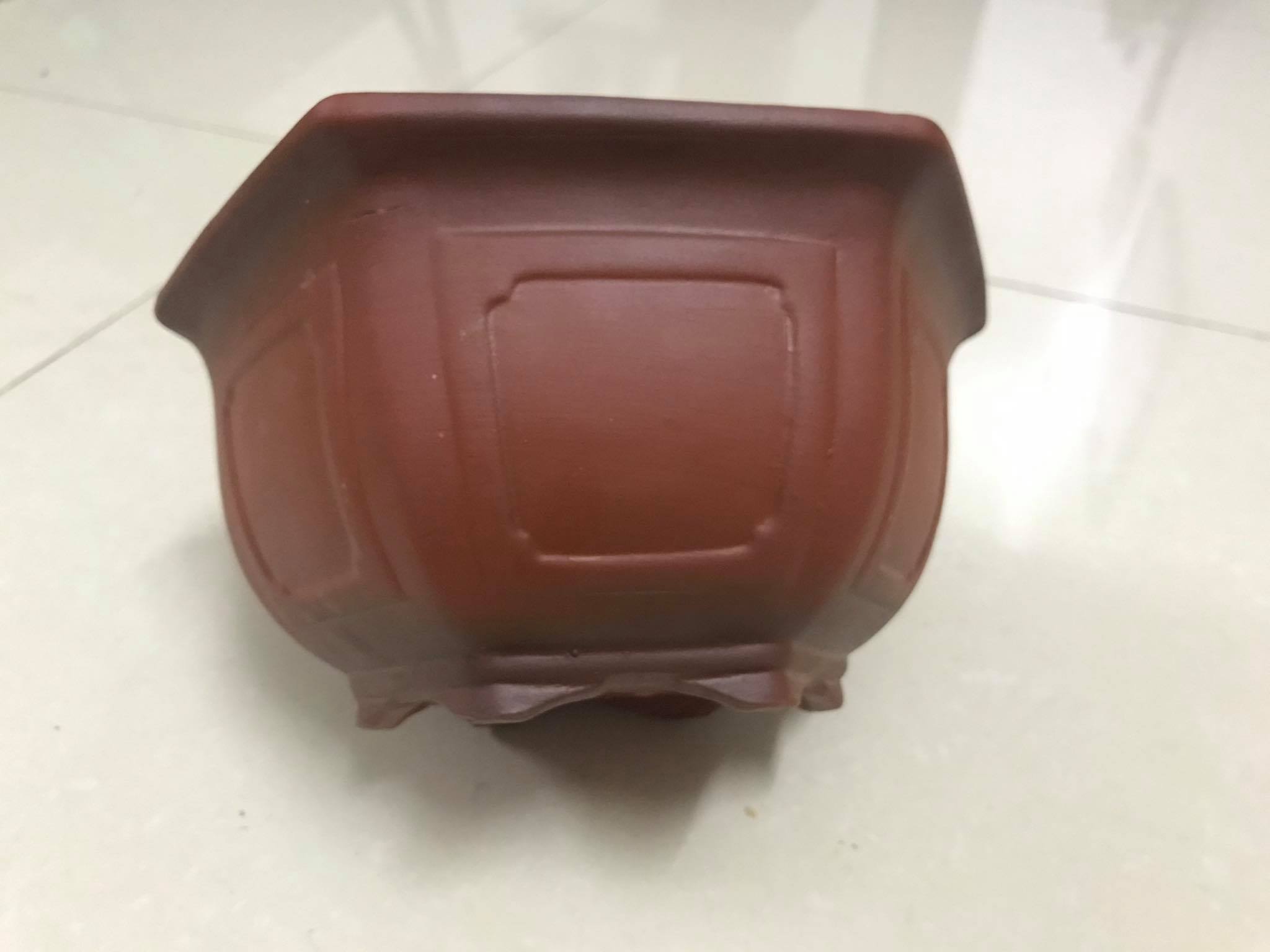 CHẬU MINI 02- LỤC GIÁC