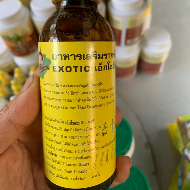 Dung dịch siêu kích rễ thái lan exotic lọ 100ml