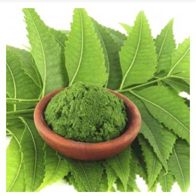 [HCM]1Kg Bột Lá Neem Ấn Độ