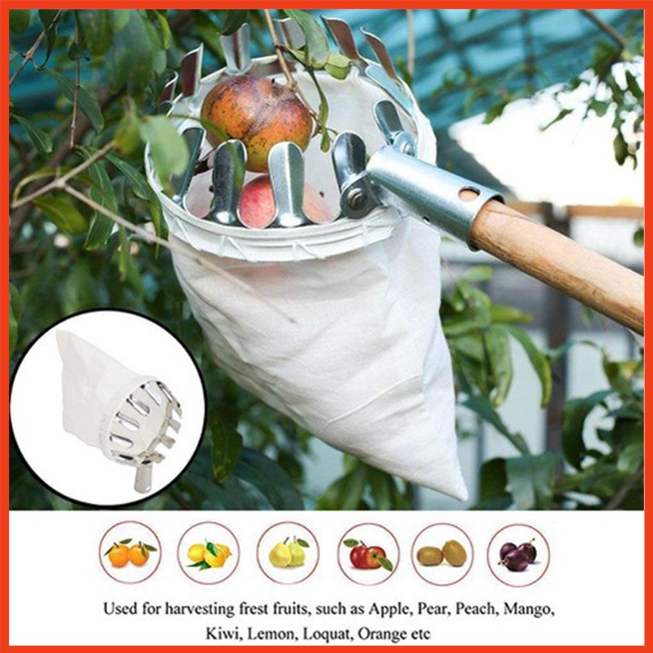 Dụng cụ hái quả, hái trái cây đa năng