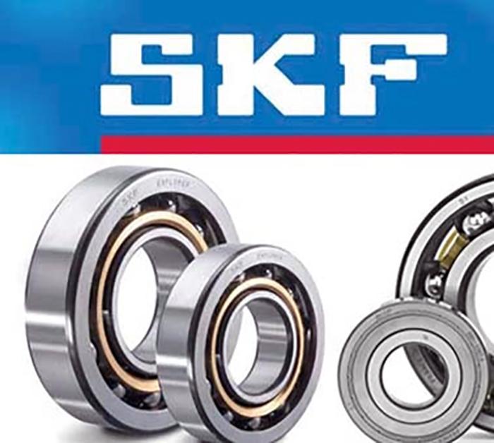 Vòng bi SKF 6002-2Z, 6002-2Z/C3