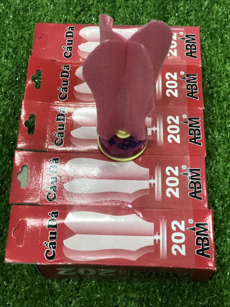 CẦU ĐÁ THI ĐẤU 202 ( LỐC 5 TRÁI)