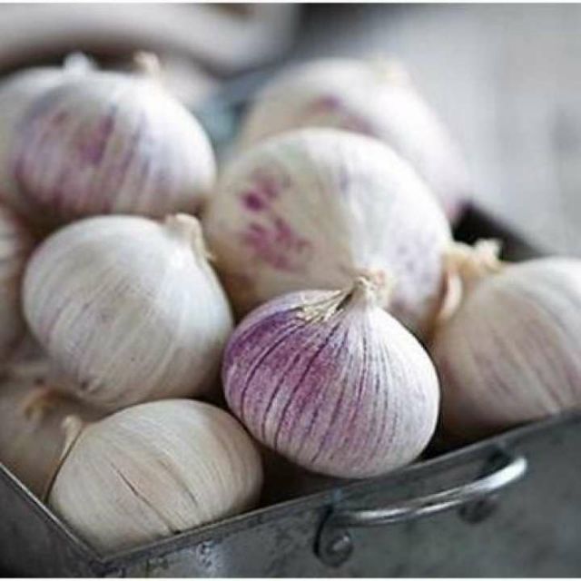 [1Kg, 2Kg] Tỏi Cô Đơn Phan Rang dùng làm Tỏi Đen