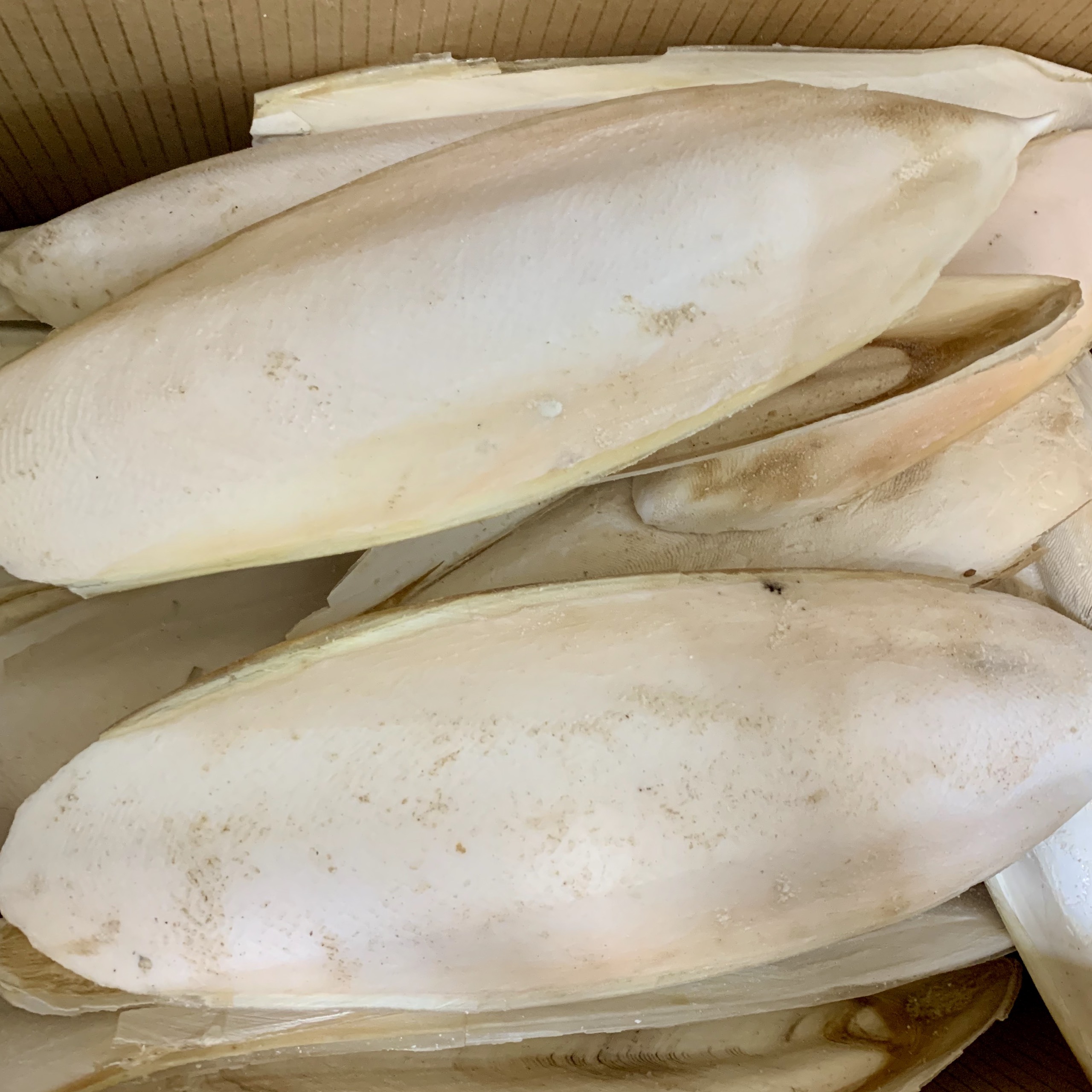 Nang mực { mai mực} 100g- Thức ăn cho chim