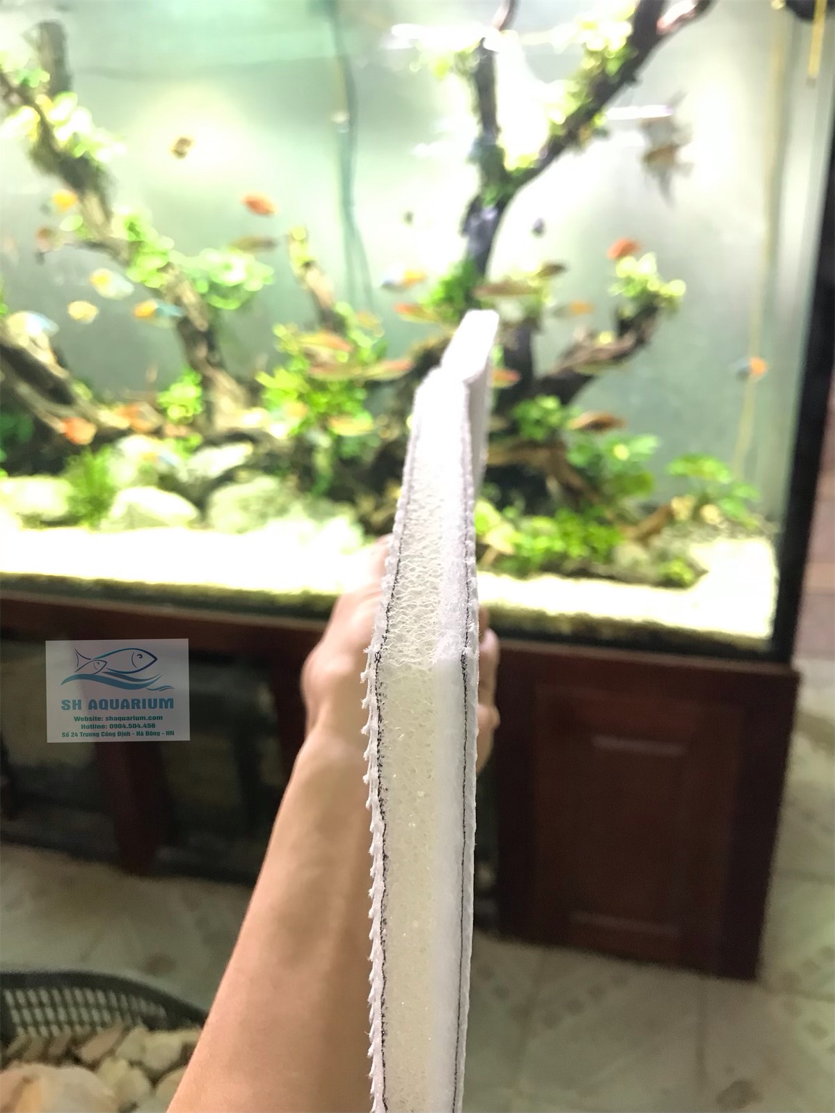 BÔNG LỌC 6D THẾ HỆ MỚI