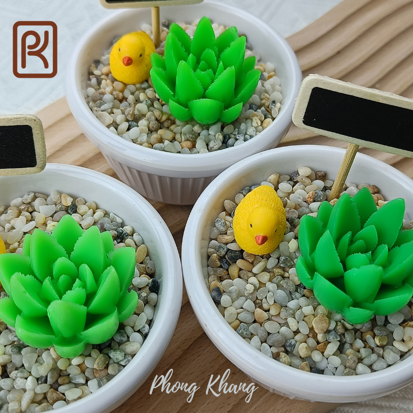 Khuôn silicon 4d Phong Khang làm rau câu sen đá