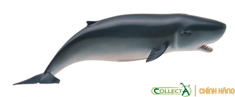 [CHÍNH HÃNG COLLECTA] MÔ HÌNH ĐỘNG VẬT: CÁ NHÀ TÁNG NHỎ