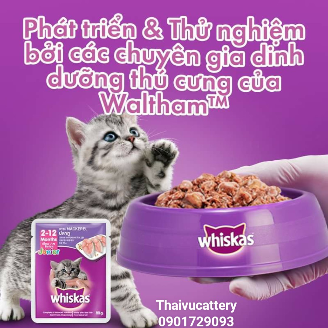 Pate Whiskas Junior - Mèo con 85g
