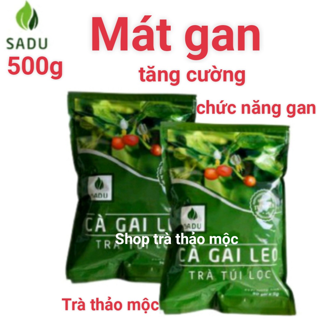 Trà túi lọc cà gai leo sau 500g gồm 100 túi lọc