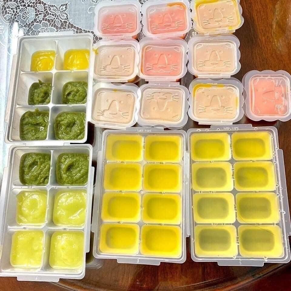 SET 2 khay trữ đông đồ ăn dặm RICHELL cho bé