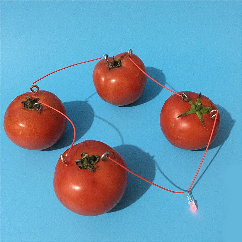 The experimental science magnetic generator battery creative fruit for scientific research stem