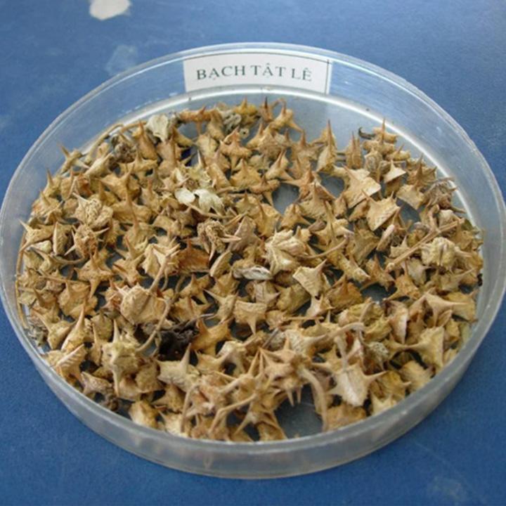 bạch tật lê khô 1kg