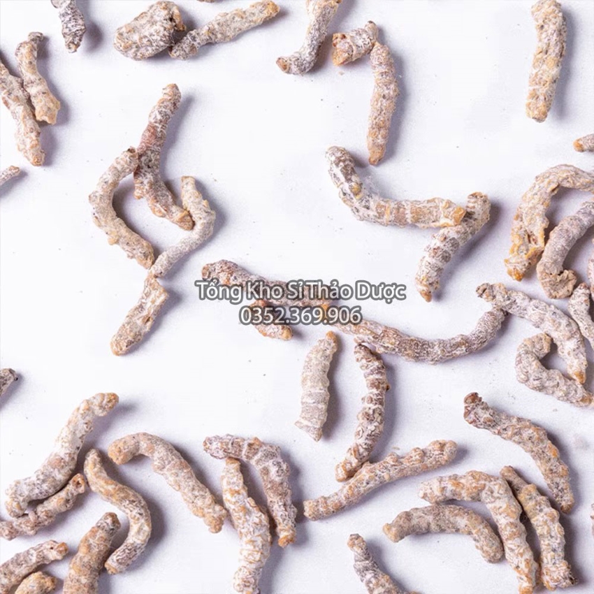Bạch Cương Tằm 1kg