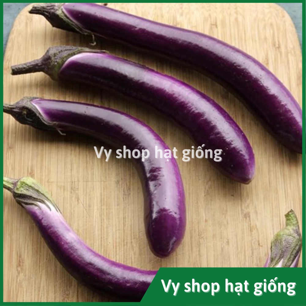 Hạt giống cà tím dài cao sản Thái Lan gói 50 hạt